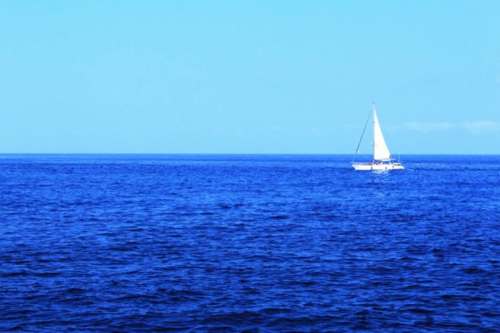 Výlet lodí za delfíny Tenerife