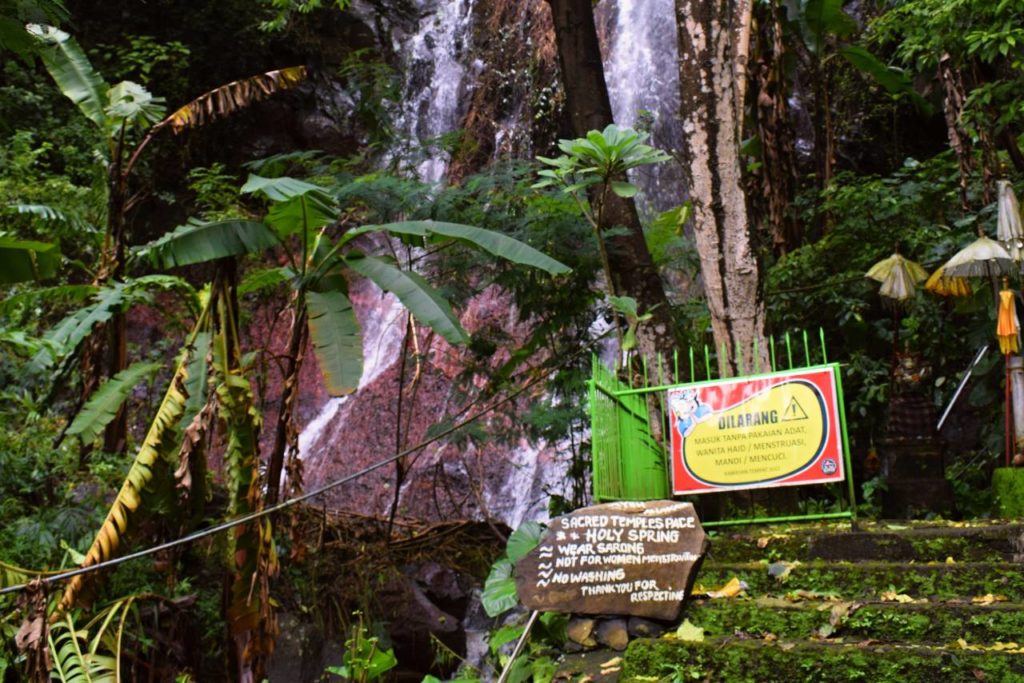 Džungle a vodopády na Bali