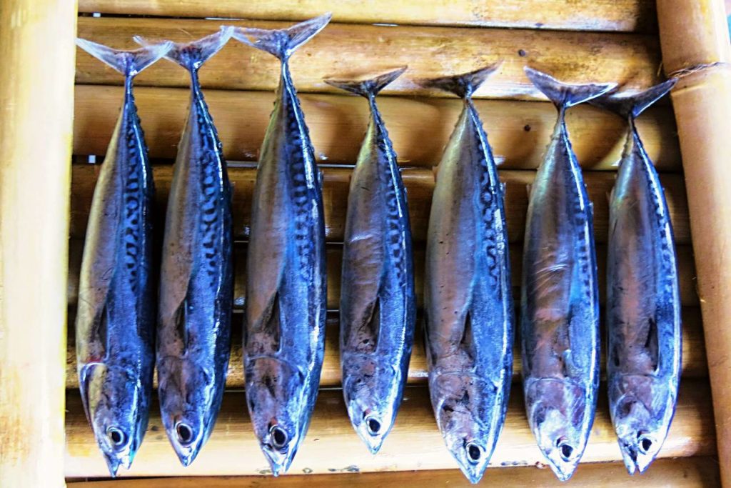 Rybářský úlovek na Bali