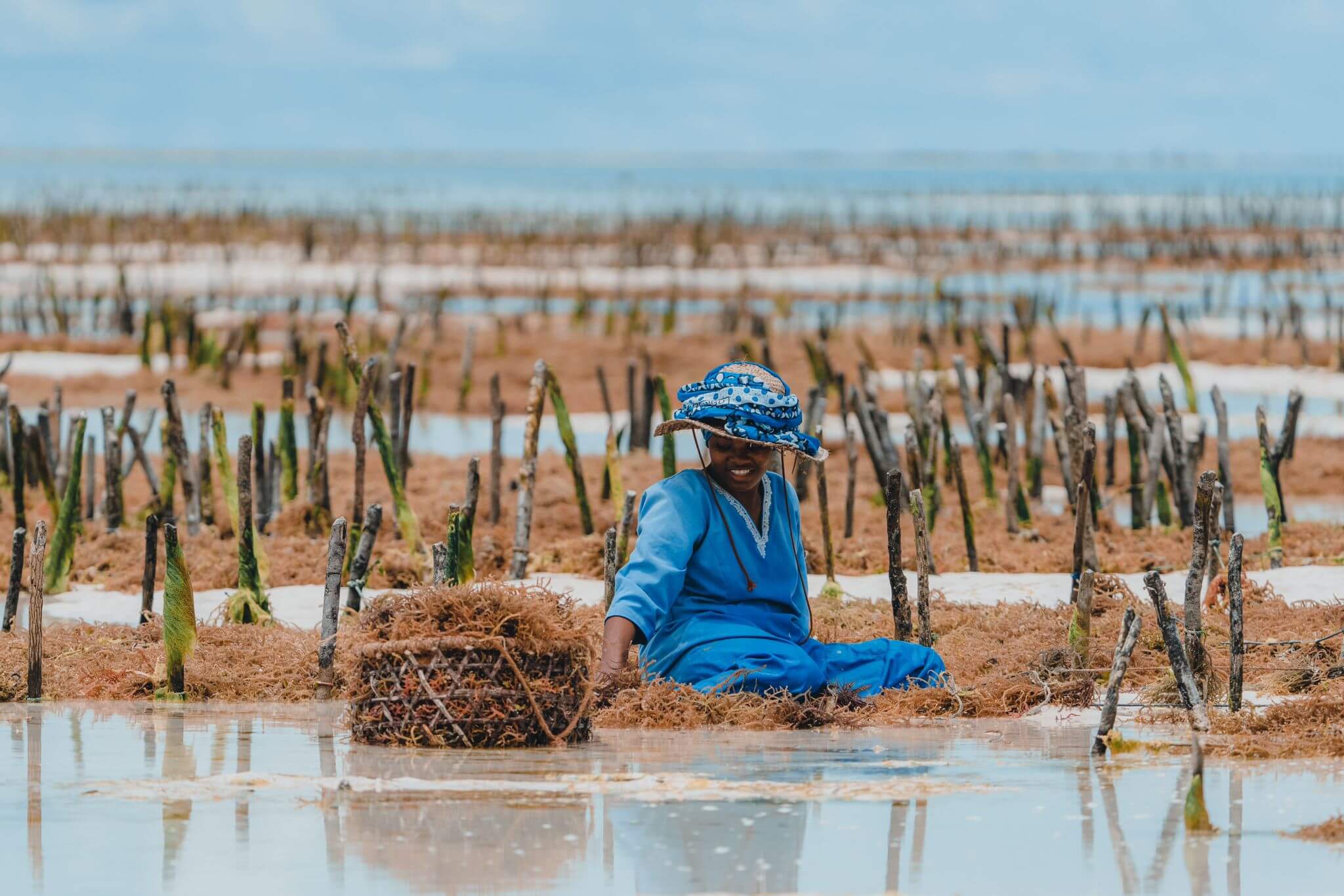 Život na Zanzibare – miestni