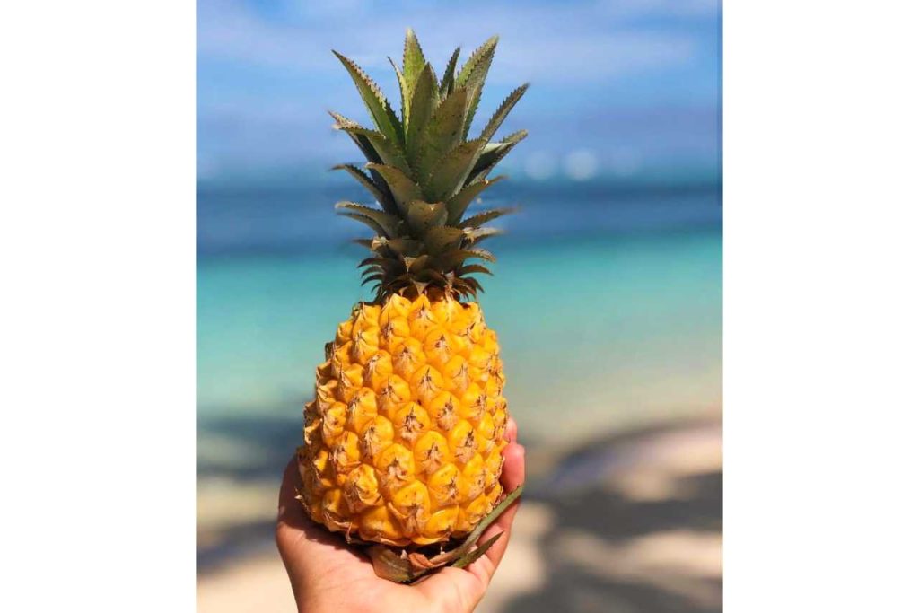 Ananas na pláži
