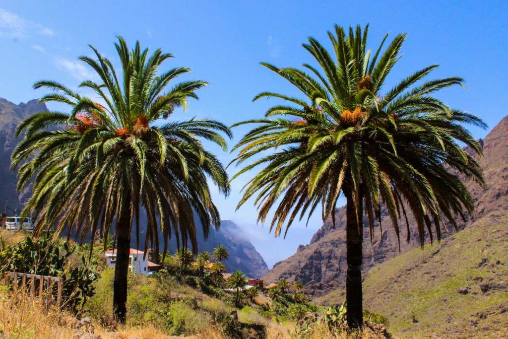 Zajímava místa na Tenerife