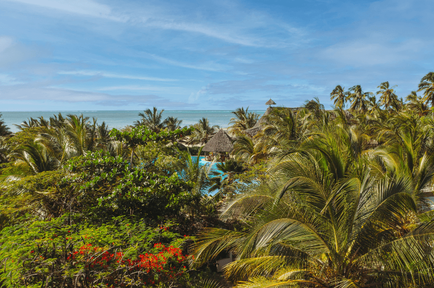 Zahrada v resortu na Zanzibaru