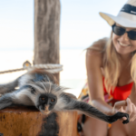 Opice v českém hotelu na Zanzibaru