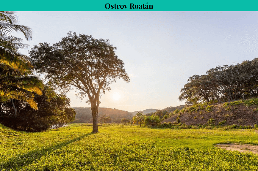 Příroda ostrov Roatán