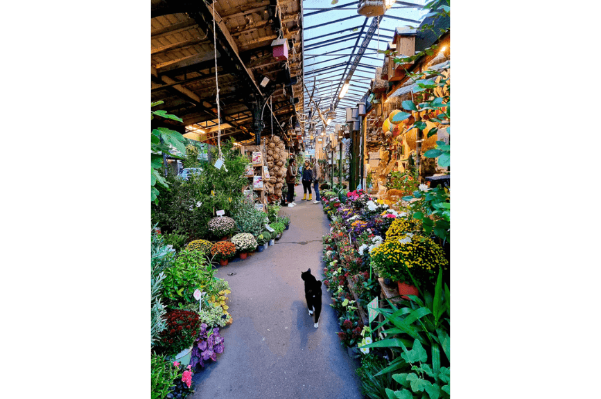 Trh s květinami v Paříži