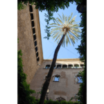 Barcelona palma