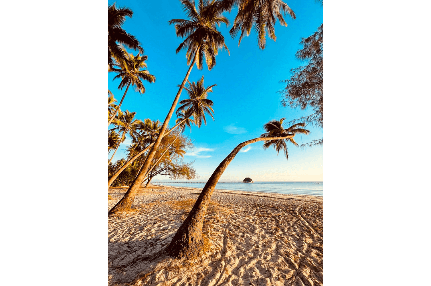 Palmy na pláži Zanzibar