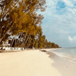 Bílá pláž na Zanzibaru