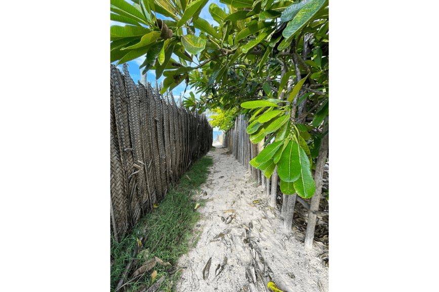 Cesta na pláž Zanzibar