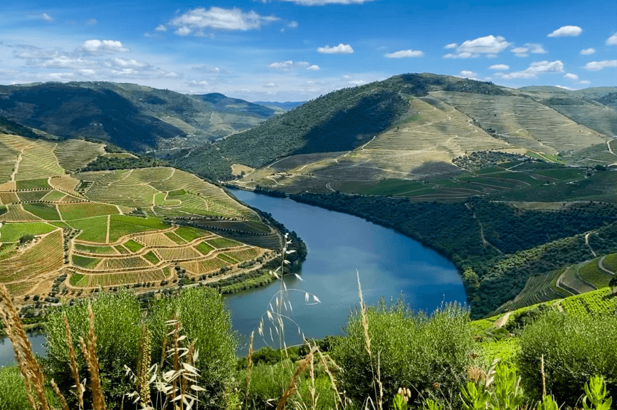 Pohled na údolí Douro