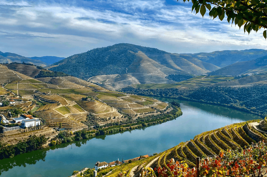 Výhled na vinice v Douro