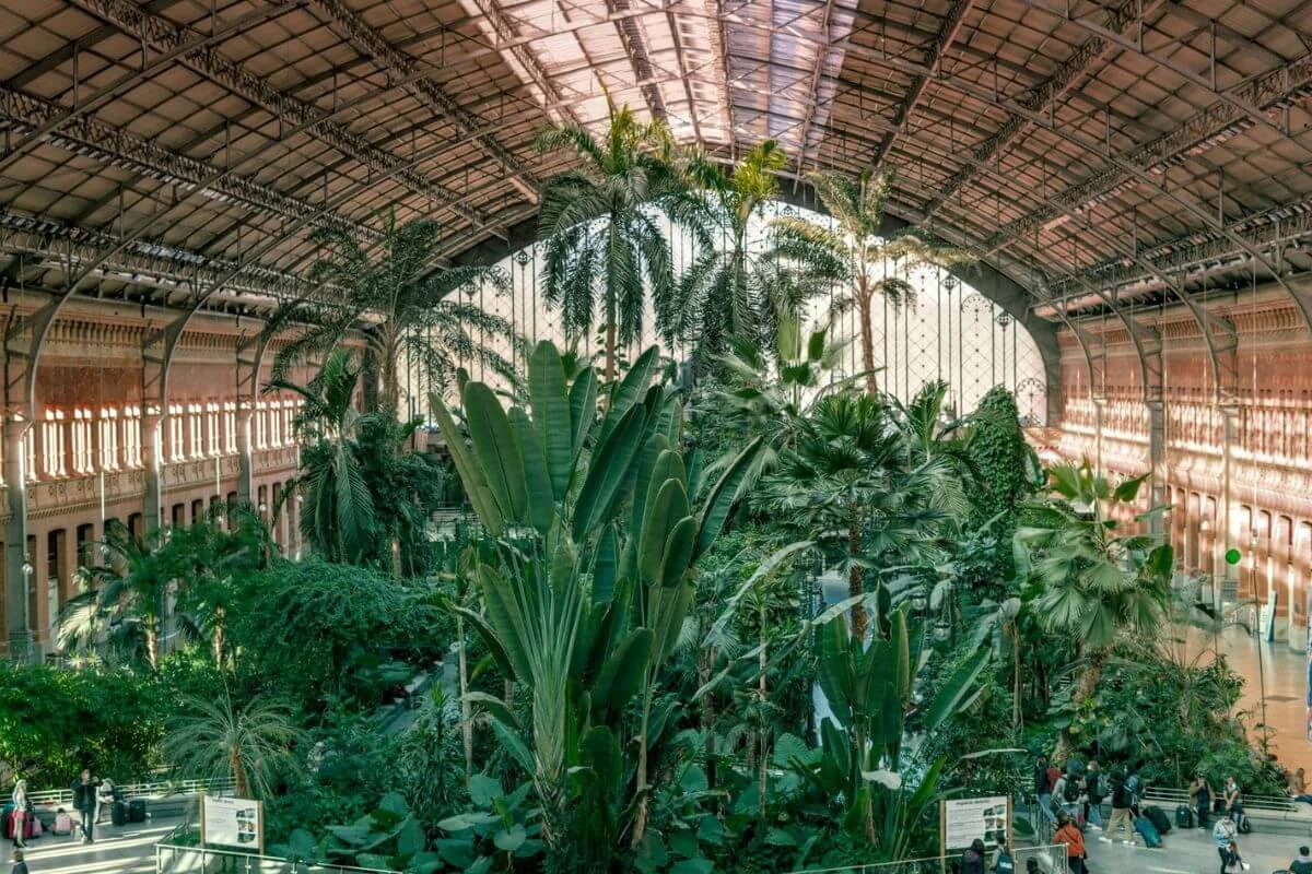 Madrid botanická zahrada Atocha