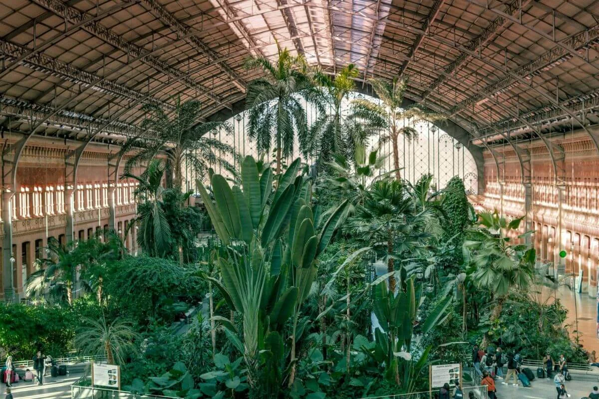 Nádraží Atocha botanická zahrada