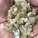 Muscat_Oman_plody