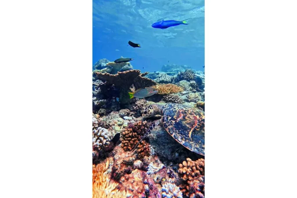 maledivy_mafushi_potapeni