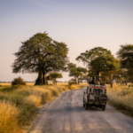 Výlet ze Zanzibaru do Safari