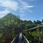 Výlet v přírode Singapur