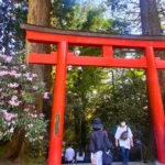Hora Fudži svatyně Hakone