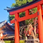 Kjóto, svatyně Fushimi Inari