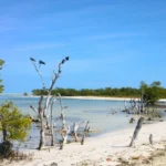 Ostrov Holbox písečné pobřeží