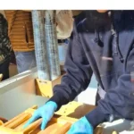 Tokio s dětmi, tržnice Tsukiji