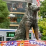 Tokio s dětmi,Hačikó Shibuya